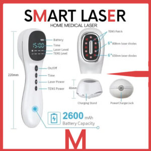 SmarLaser930mW-1