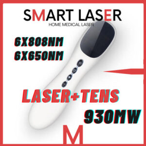 SmarLaser930mW-6